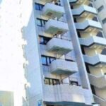 高稼働中 鉄骨鉄筋コンクリート造（SRC造）11階建 地下1階付 一棟マンション